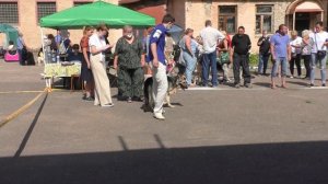 Мать Драконов