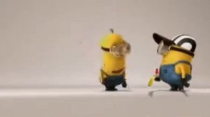 Миньоны,приколы с миньонами,живые миньоны