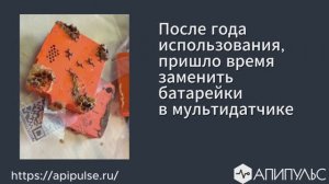 Замена батареек в мультидатчике (датчик звука, температуры, влажности) Апипульс