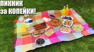 БЮДЖЕТНЫЙ ПИКНИК: меню из доступных продуктов для всей семьи