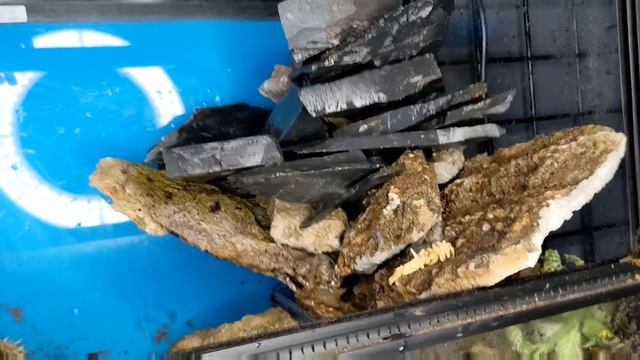 Terrarium Do-Over Part Two: Finishing our Water Feature, then the Sky is the Limit смотреть онлайн