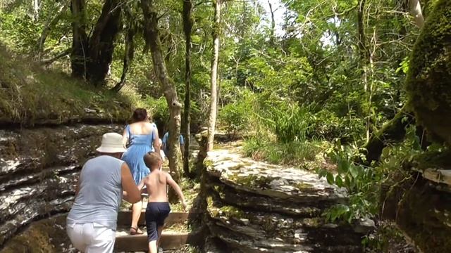 Роза Хутор - 2018. 08_1 Тисо-Самшитовая роща