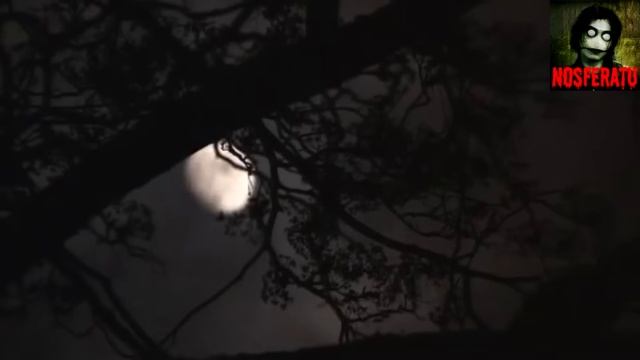 Фиалочка. Страшные истории на ночь 🫣🫣🫣 смотреть онлайн