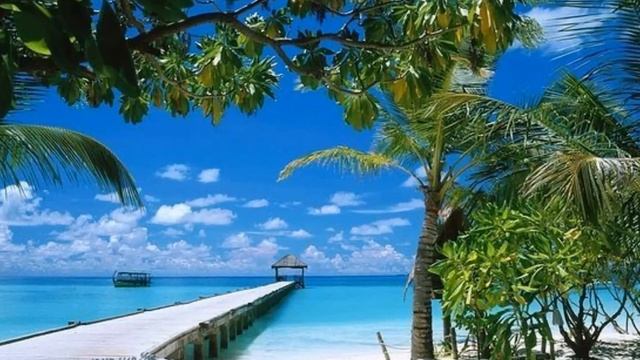 Саша, с днём рождения!!! смотреть онлайн