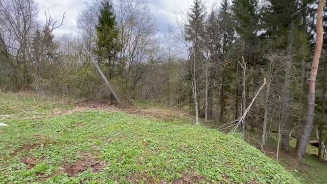 Будогощское городское поселение, деревня Рахово смотреть онлайн