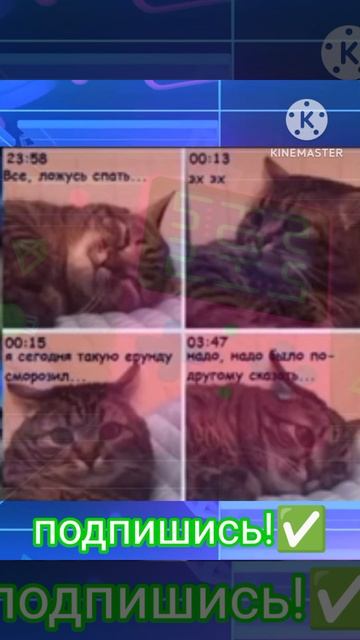 часто вспоминаю свои стыдные поступки😳😅 #мемы #жиза #приколы #коты