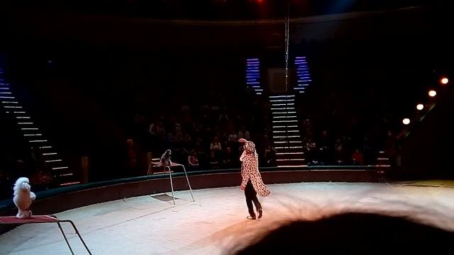 8 января 2018 г.(3)