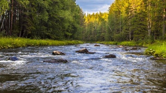 Истории из жизни. Жизненные истории. Интересные истории. Увлекательные истории. Аудиорассказ 0006 смотреть онлайн