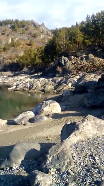 Алтай, Катунь в ноябре,2020