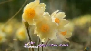 МУУС УСТАР 9 күнэ - ''НЬУРГУҺУННАР'' ырыа тыллара айыллыбыт күнэ