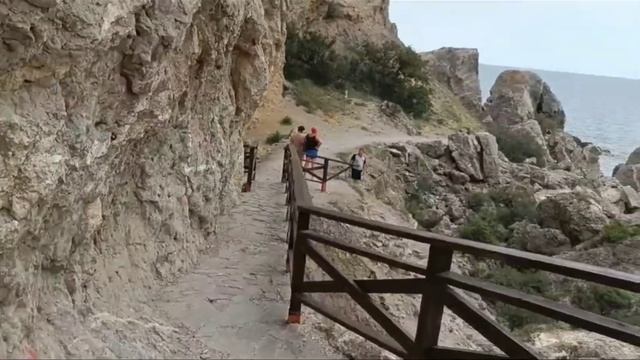 Я в шоке-лисы атакуют.Судак набережная-это что то невероятное...