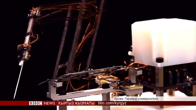 Click: Операция жасай алчу жеңил роботтор - BBC Kyrgyz смотреть онлайн