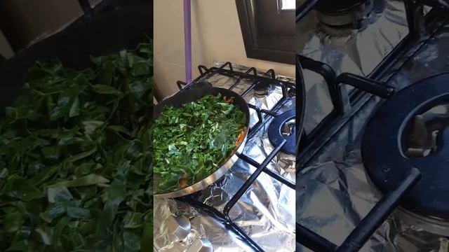 Рыба денис на пару с овощами ( теред,мальва,листья свеклы)