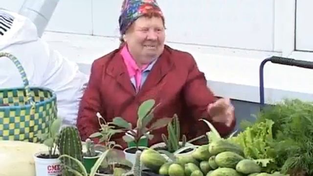 Кактус ха-ха-ха-ха смотреть онлайн