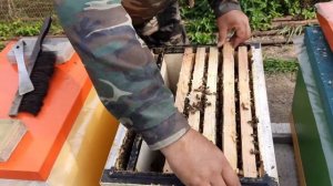 Норвежский Метод!!! Конец Закорма!!!