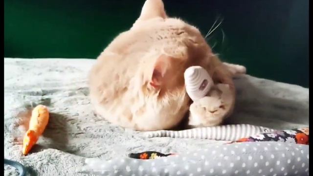 So this is love!:) смотреть онлайн