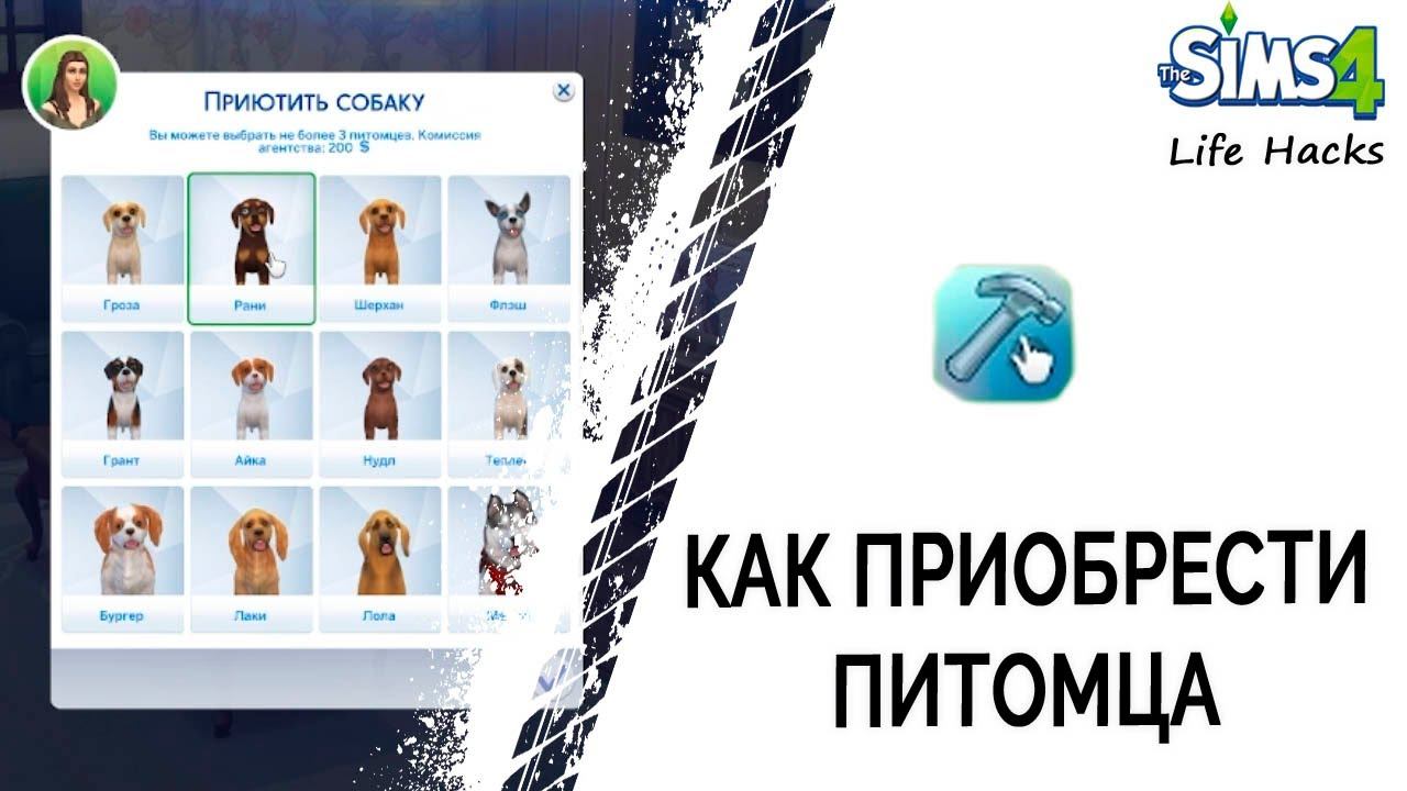 Как приобрести питомца в Симс 4 смотреть онлайн