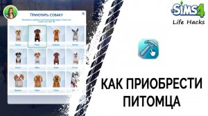 Как приобрести питомца в Симс 4