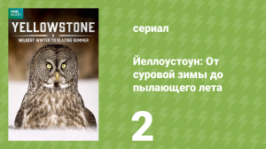 Йеллоустоун: От суровой зимы до пылающего лета 2 серия (документальный сериал, 2017)