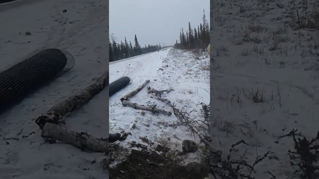 Ну че курнем смотреть онлайн