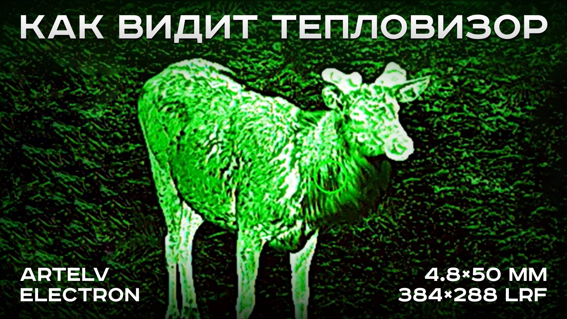 Как видит тепловизор ARTELV ELECTRON 4.8×50 мм 384×288 LRF смотреть онлайн
