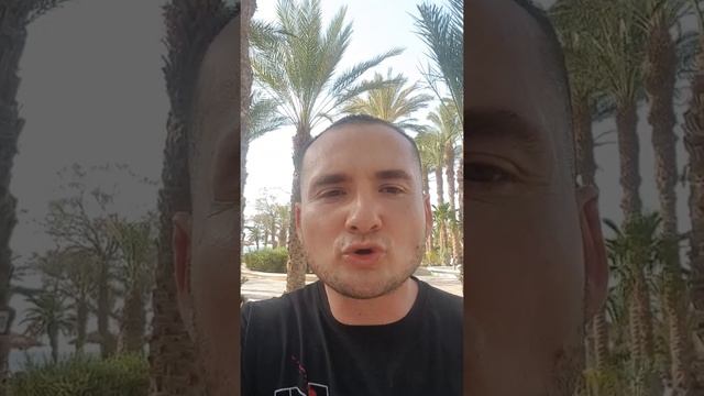 Басня#1 Как Сима выбирал жену смотреть онлайн