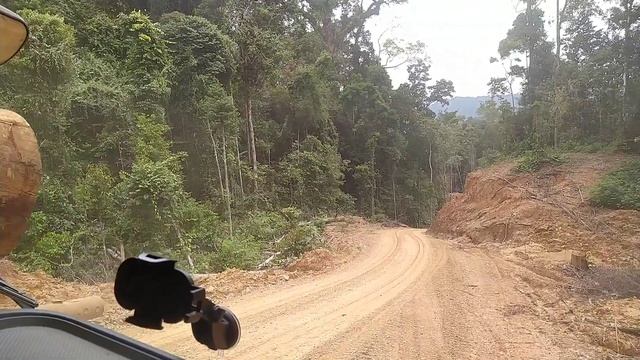 #mercedes #actros #wa500 logging truck muat kayu log смотреть онлайн