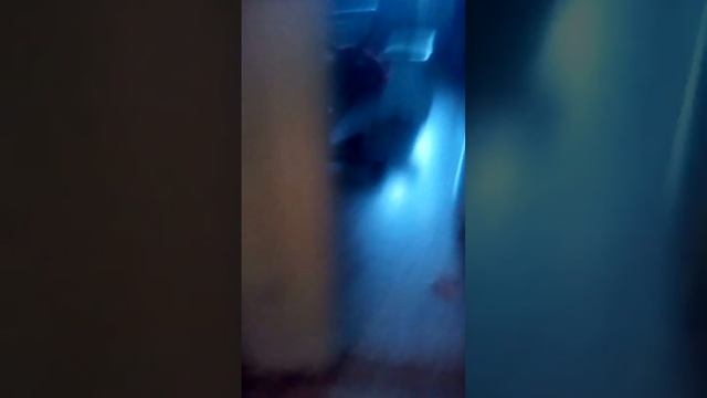 ПРИКОЛЫ ОТ МУРЗИКА смотреть онлайн