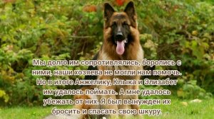 Комикс «Семья» 5 часть.