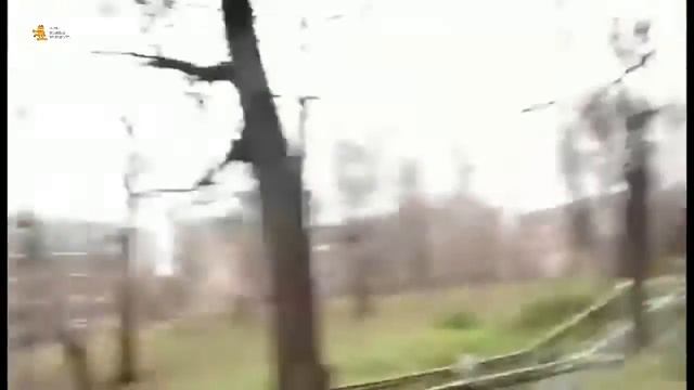 ► Прикол! Бабка перепутала камеру с совой смотреть онлайн