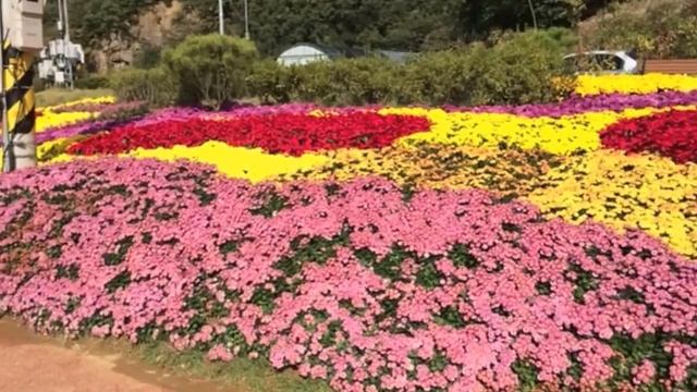 Экскурсия на выставку.