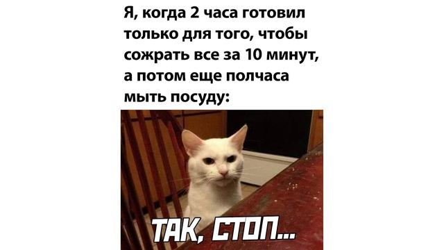 ЛАПКОВЫЙ ЗАХВАТ ХОМЯКАДЗЕ))) Приколы | Мемозг 781