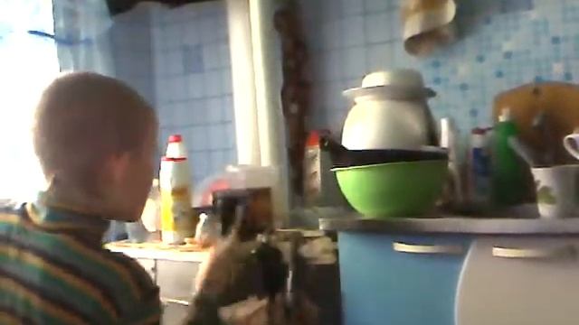дураками не становятся дураками рождаются. смотреть онлайн