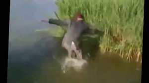 Алкаши самые смешные падения 000