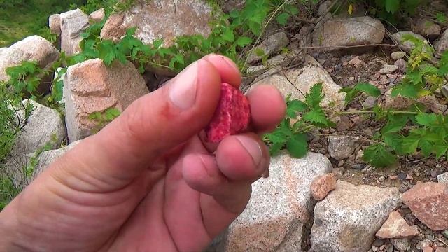 4 На зелёном фоне розовый камушек 6 смотреть онлайн