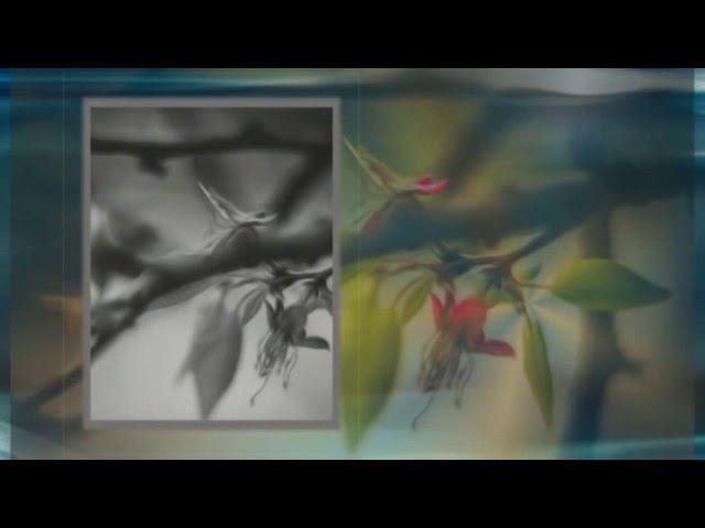 Эдуард Жолудев - Сказочные сны. Читает Владислав Витковский смотреть онлайн