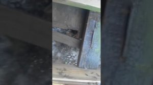 жигули из досок