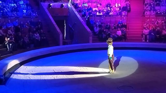РЕПРИЗА "ЛЕТАЮЩИЕ КОЛЬЦА", ШОУ "ДЕВОЧКА И СЛОН", ВОРОНЕЖСКИЙ ЦИРК смотреть онлайн