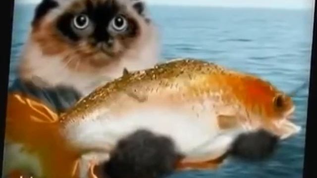 С днем рождение Миша смотреть онлайн