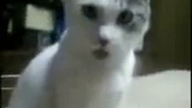 Ne Verju Svoim Glazam/Не верю своим глазам