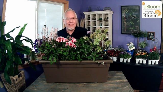 Cutting Container Garden with J Schwanke ENGLISH GARDENS смотреть онлайн