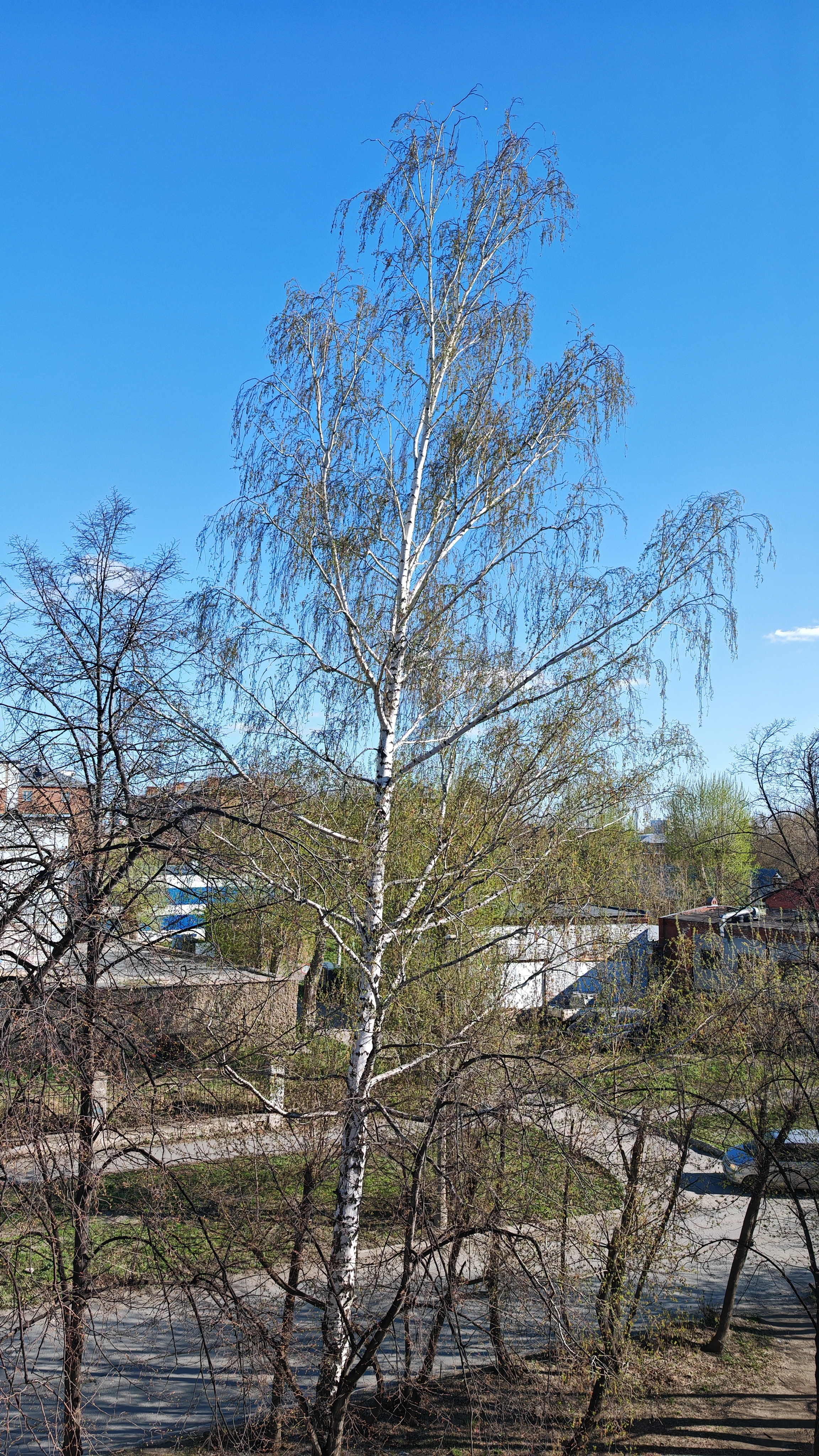 Последний день апреля 2025 из моего окна 🪟 смотреть онлайн