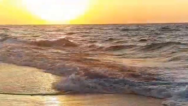 Лето, море, солнце и писок смотреть онлайн