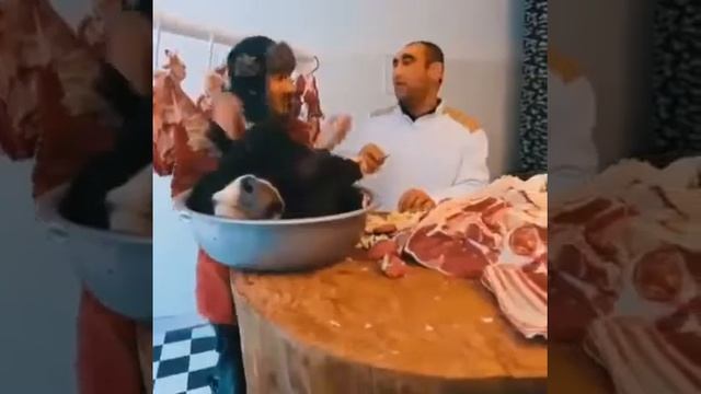 Прикол Азербайджанский