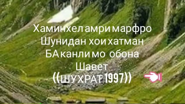 Хожи. МИРЗО  ДАР (БОРАИ КАБР)
