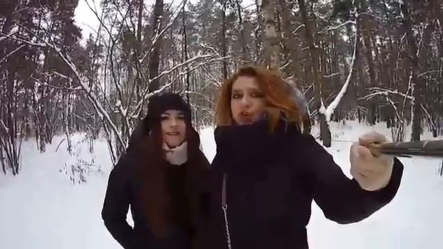 Год Петуха 🐔