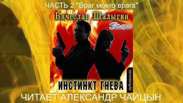 01.02 Вячеслав Шалыгин "Сыщик Туманов" (книга 1) "Инстинкт гнева" (часть 2)