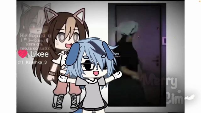 смотрю ГАЧА видео из ЛАЙКА #актив #гача #гачасрача #рекомендации #треш #лайк #гачалайф смотреть онлайн