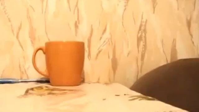 Приколы с животными, смешные кошки fail animals, funny cats Цирк смотреть онлайн