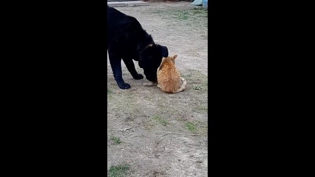 Я обиделась! смотреть онлайн